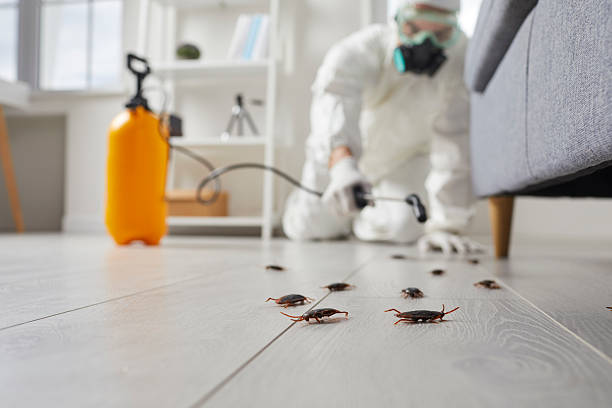 Commercial Kitchen Cockroach Control in Shepherdsville